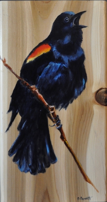 red wing blackbird